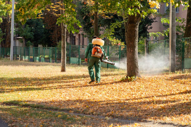 Professional Pest Control in Blasdell, NY