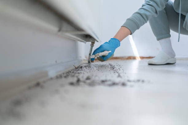 Pest Prevention Services in Blasdell, NY